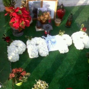 Florist's Choice - Image 21