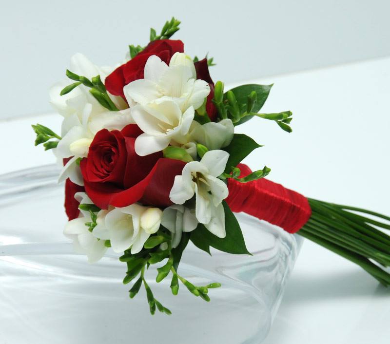 Seasonal Pick - Image 8