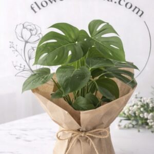 Florist's Choice - Image 31